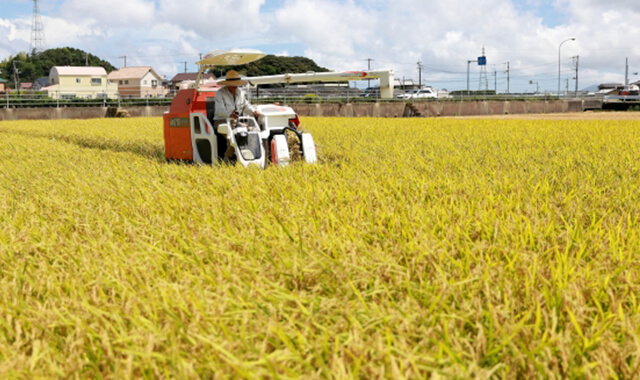 農業生産法人有限会社あづみのモック | イメージ